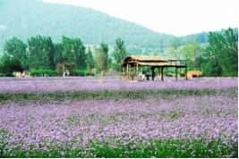 五一节去哪玩最好江苏,江苏五一出行如何避开人山人海