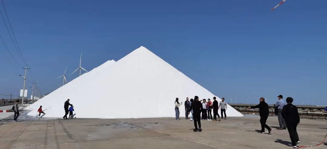 向海乐活节音乐节,2024滨城向海乐活节