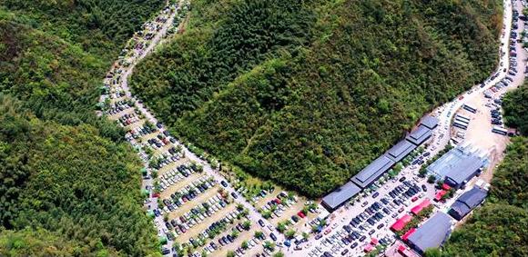 阳明山杜鹃花海永州,2024年阳明山杜鹃观赏时间