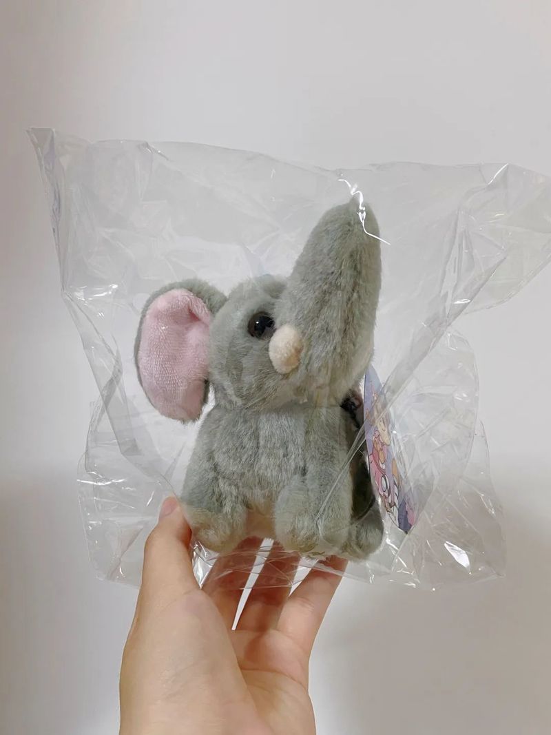 “深圳全城网友找小象”后续来了！深晚直接送！