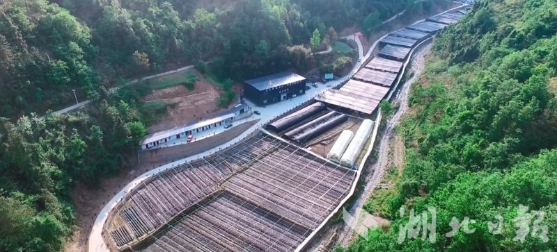 竹溪县乡村振兴先行区创建方案,擦亮乡村底色