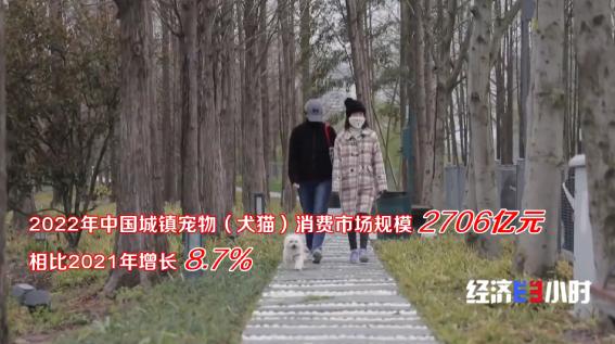 民生满意度调查问卷模板,民生实事调研问卷