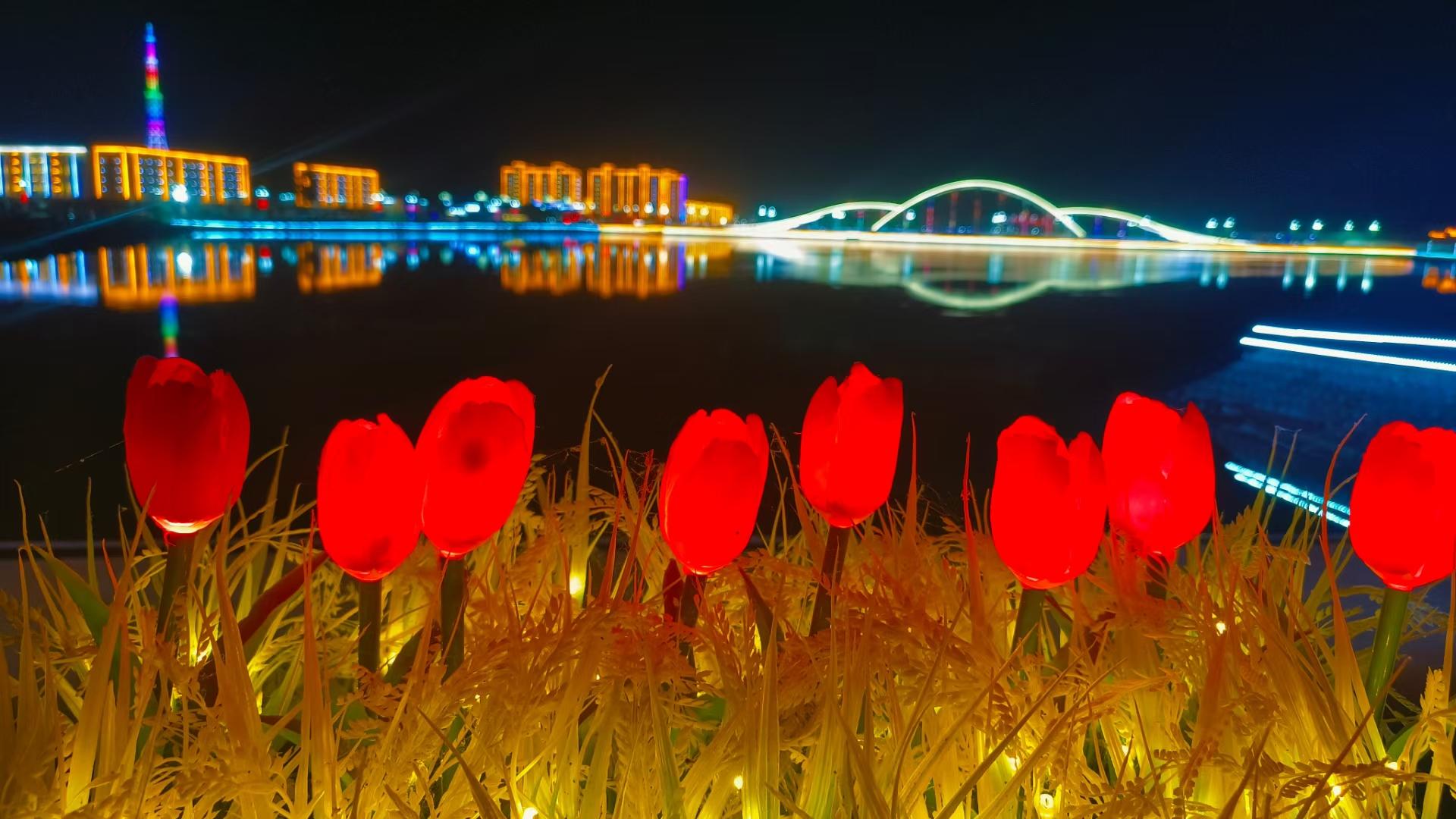 【新时代新征程新伟业】破茧蝶变小城美看民丰十年高质量发展之路