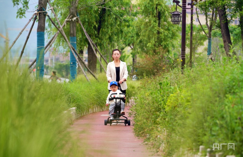 【大宏图·“县”在启航】甘肃成县：书写“三大区块”跃升篇章擘画“景城融合”成州印象