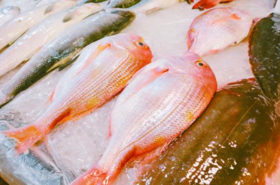 禁渔期舟山有哪些海鲜可以吃,舟山禁渔期新规定2022禁渔时间