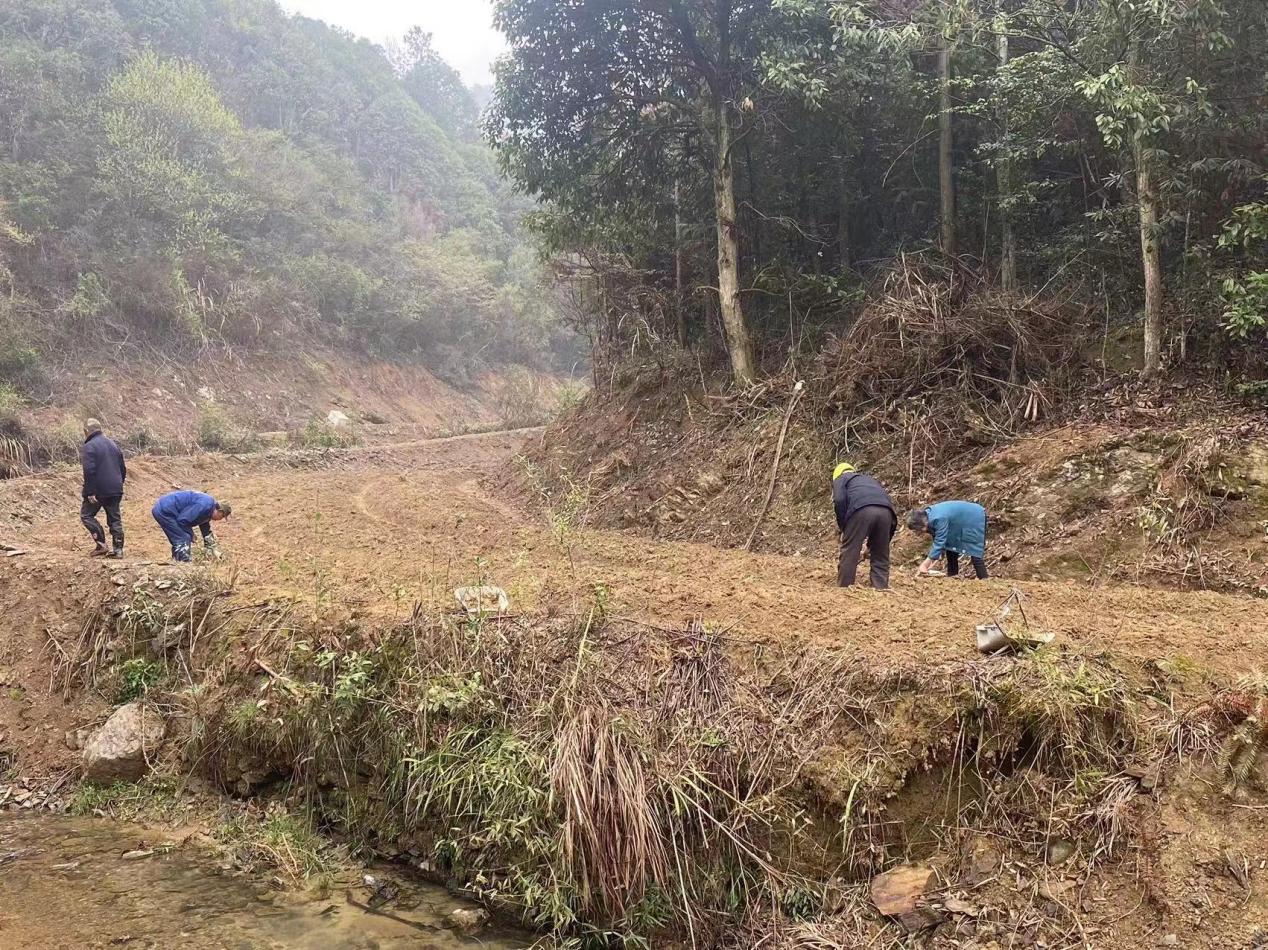 四庄乡大溪村,湖北通城四庄乡大溪