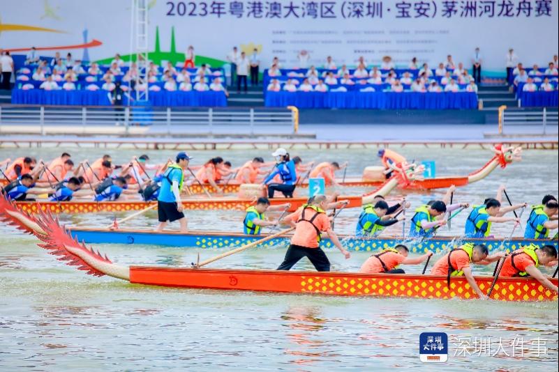 粤港澳40支龙舟队岐江争渡,粤港澳大湾区龙舟赛赛程