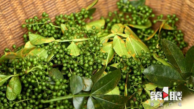 第1眼重庆广电消息,重庆广电官网