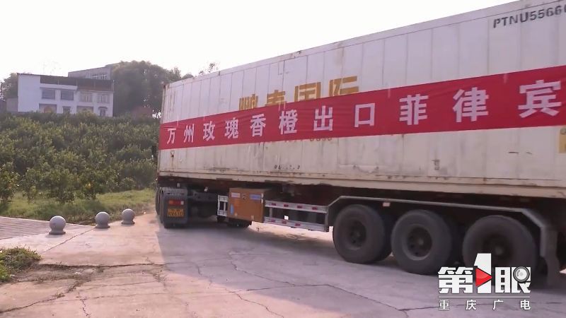 第1眼重庆广电消息,重庆广电官网