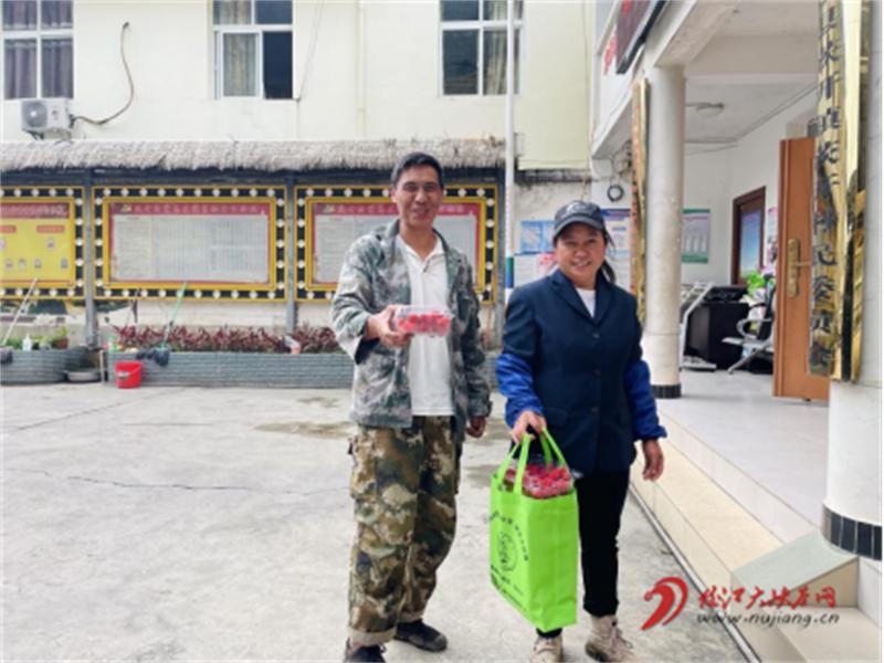 怒江贡山的这个村红树莓成了致富“金果果”