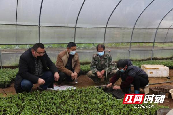 把论文写在大地上让科技之花绽放,把论文写在大地上