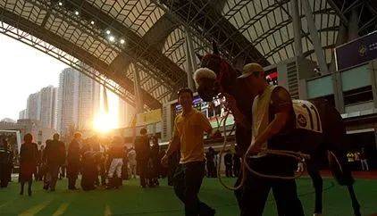 6月4日，香港将迎本季首个黄昏赛马日！