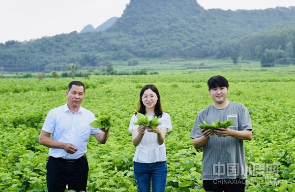退役留守乡村青年助力乡村振兴,青年变身新农人投身乡村振兴