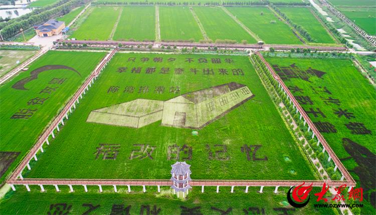 你要写济宁，就不能只写济宁