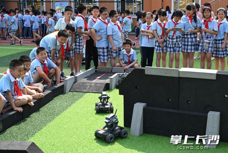 小学科技节比赛项目有哪些,学校科技节开幕式小实验