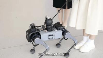 杩藉厜鐨勬満鍣ㄤ汉,杩借鏈哄櫒鐙椾簹杩愪細