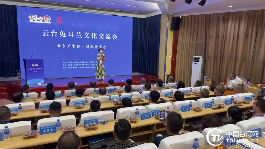 兔耳兰花展览会,云南玉溪兰花展