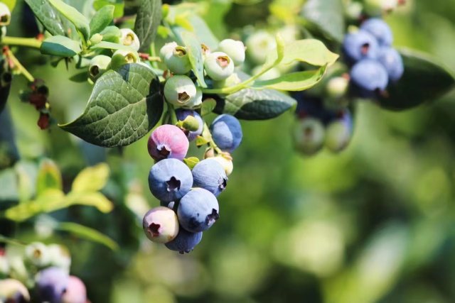 寻找励志学子每人奖1万,寻找100位寒门学子爱心助学