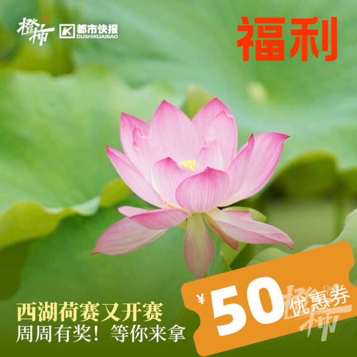 英式马术障碍赛儿童,马术儿童障碍赛