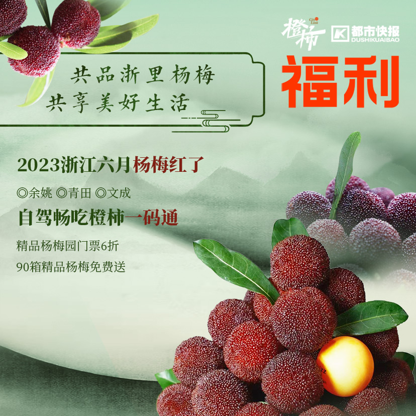 英式马术障碍赛儿童,马术儿童障碍赛