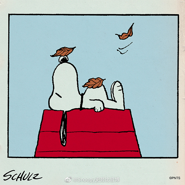 史努比花生大电影还有第二季吗,史努比花生大电影好看吗