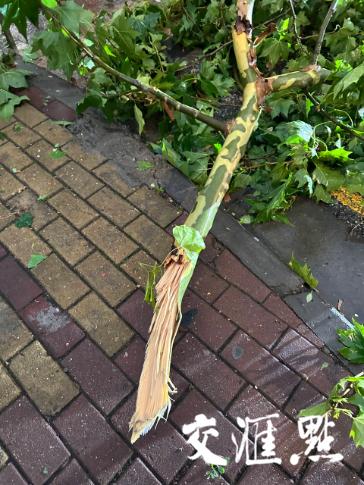 江苏遭超强龙卷风冰雹突袭,今明两日14省将迎8级以上雷暴大风