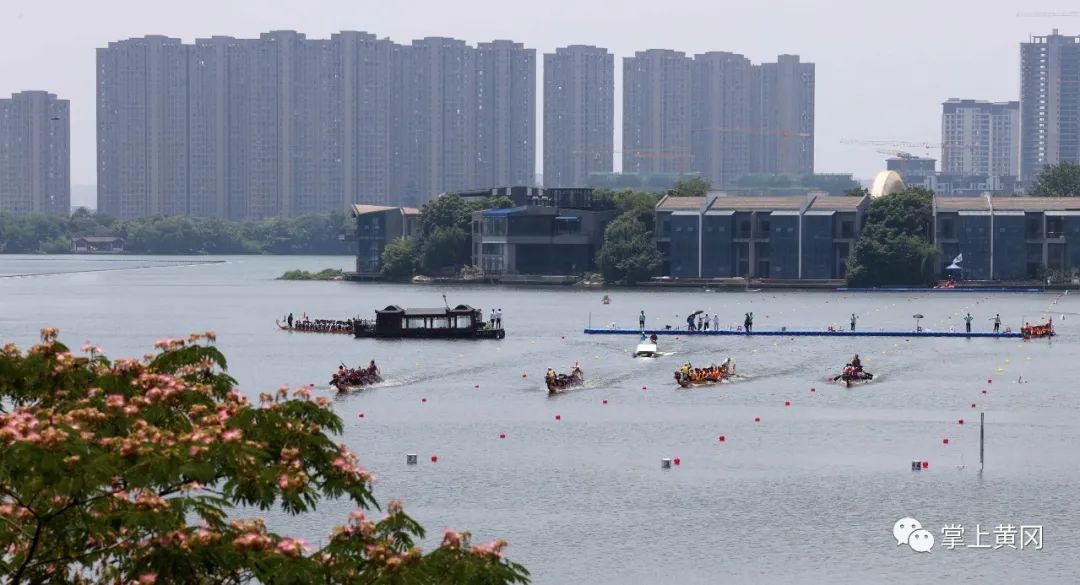 黄冈龙舟赛震撼视频,龙舟比赛激情澎湃广东
