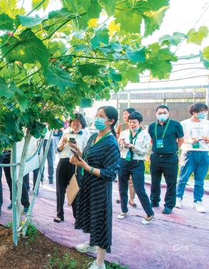 自主研发最新成果发布,自主研发的黑科技