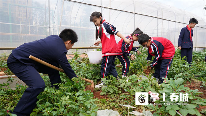 中小学劳动课乡村小学也要上吗,农村小学劳动课