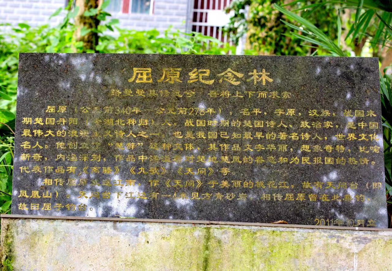 湖南原始森林千年古树,益阳浮邱寺古树