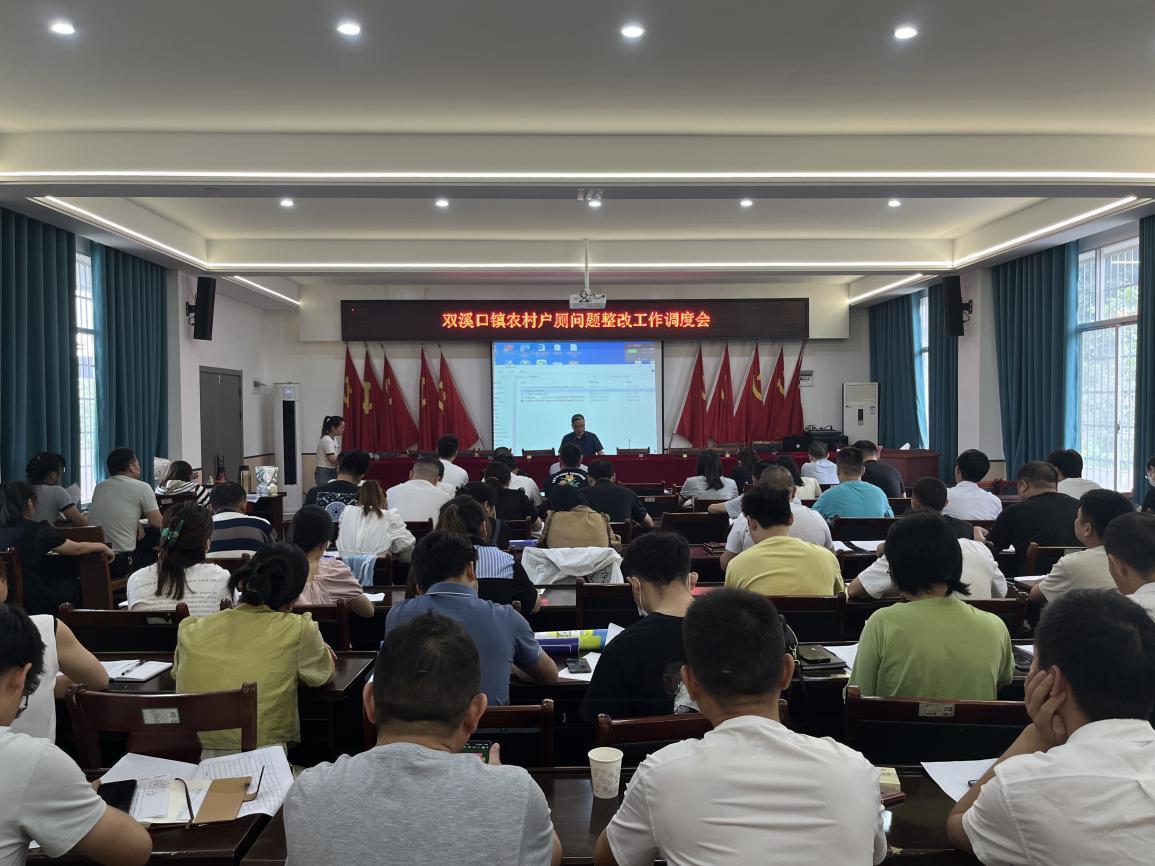 桃源县双溪口镇：全面摸排、直击问题，以“五字工作法”高质量抓好农村户厕整改工作