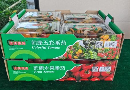 河南省农科院驻濮阳县海通乡前康庄村帮扶工作队发展设施果蔬纪实