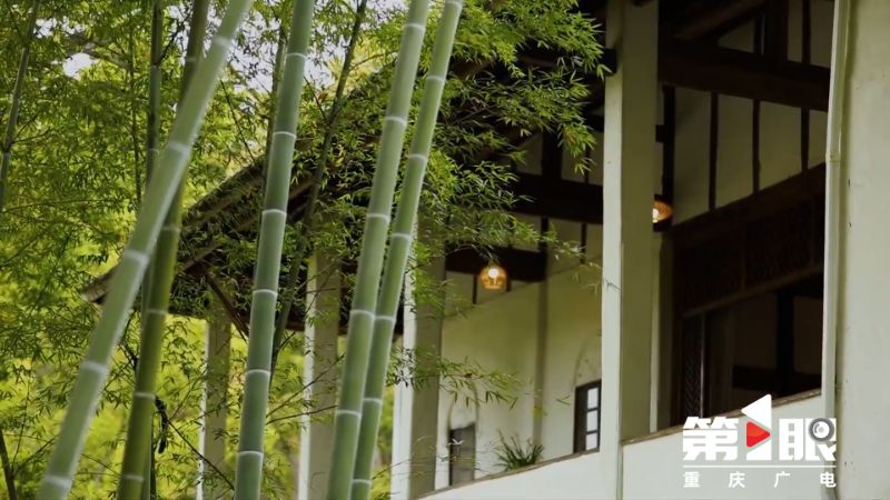 第1眼重庆广电新闻爆料,重庆广电第1眼热线电话