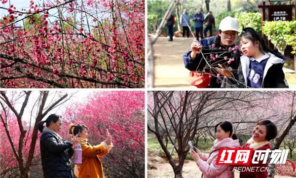 杨洲乡抓党建促乡村振兴工作方案,抓党建促乡村振兴示范镇创建工作