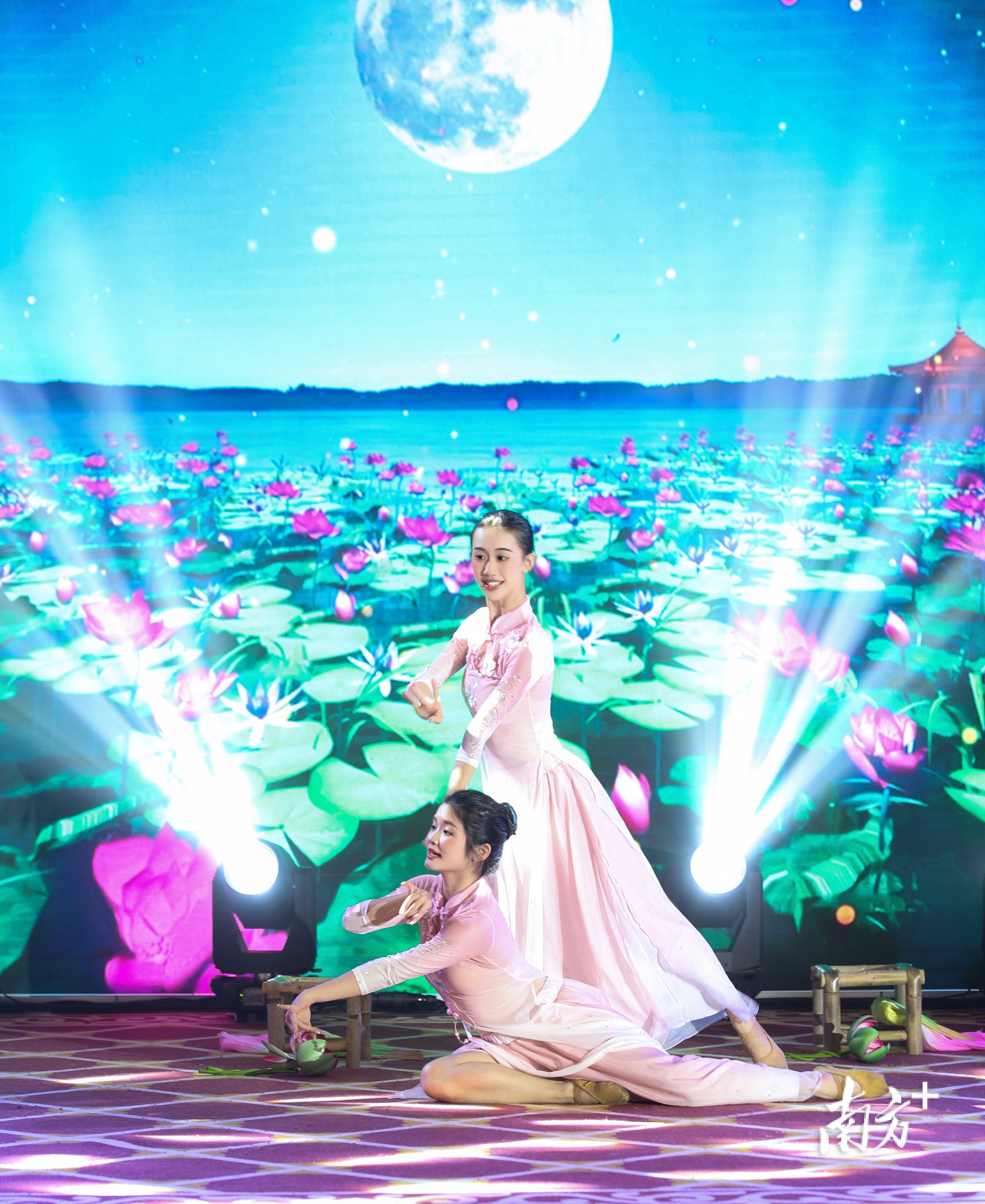 第七届东莞荷花文学奖桥头颁奖,第六届东莞荷花奖颁奖典礼