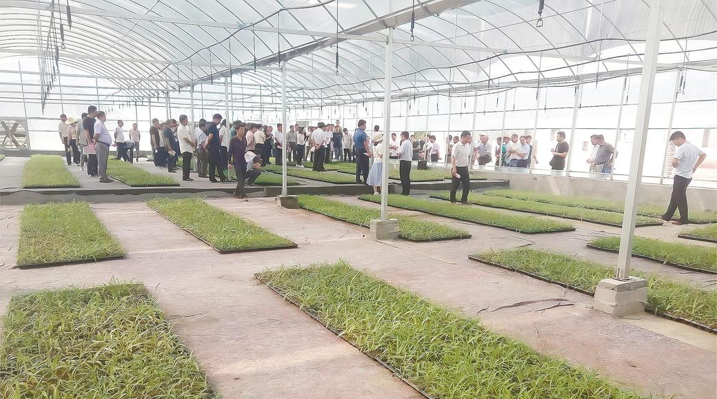 浠水高质量发展,浠水县一心三区建设秀美浠水