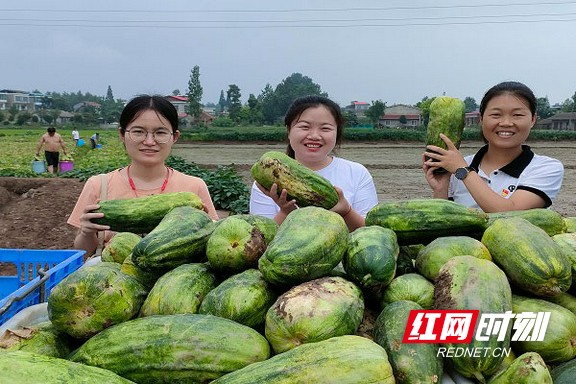 南县麻河口镇：“直播带货”开销路“牵线搭桥”促增收