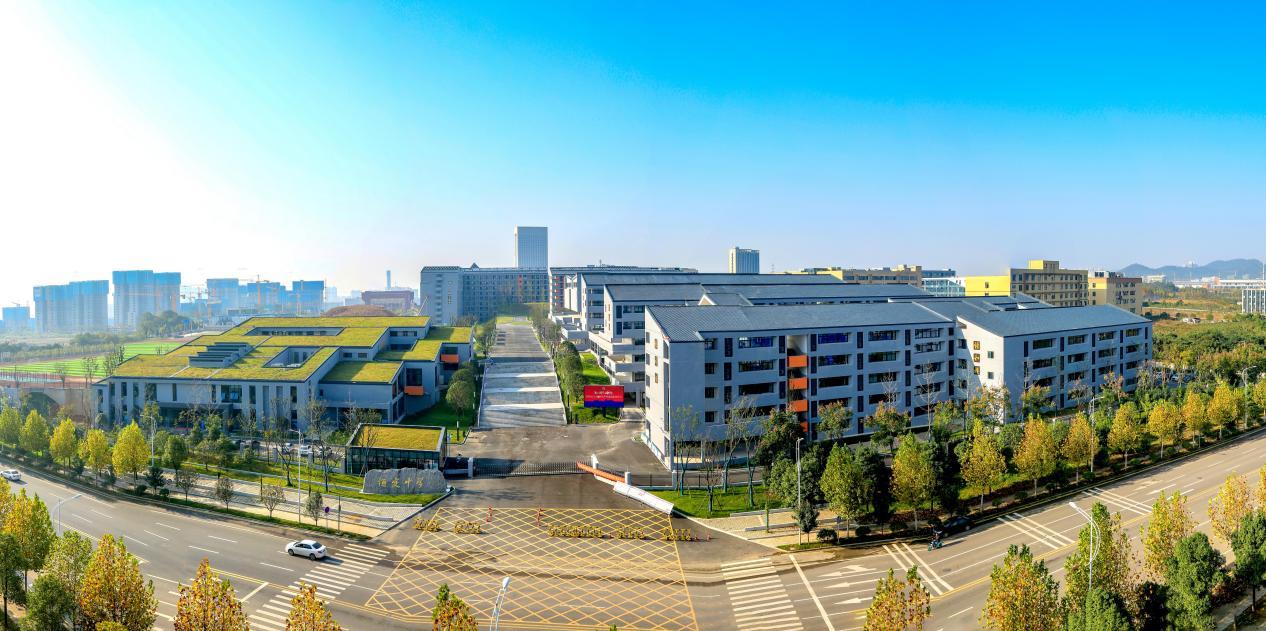 青年教师高鲜：恒定是一片充满元气的“森林”