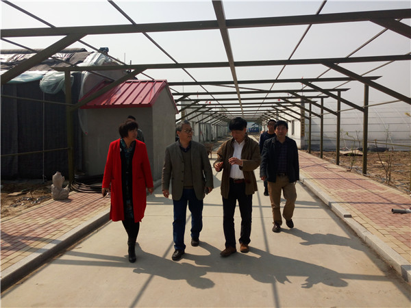 辛巴辛有志直播助农有妙招,景明公司吕宝花巾帼电商助农团队