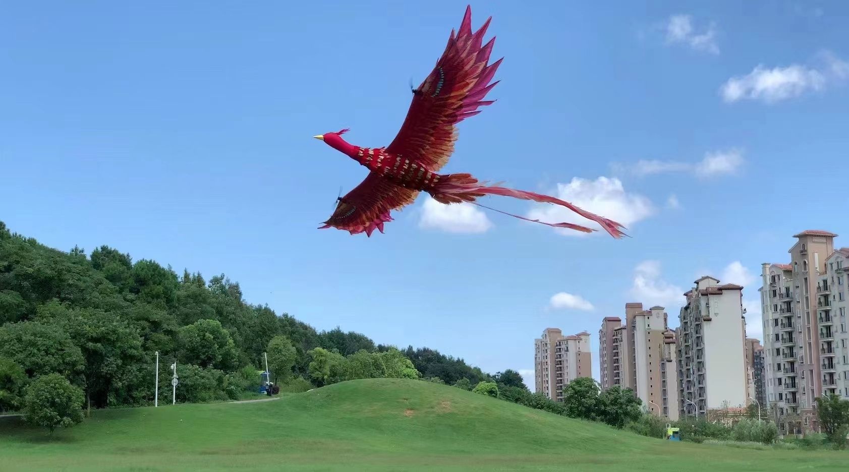 创业团队排队等待入驻，金银湖畔创新楼宇飞出“金凤凰”