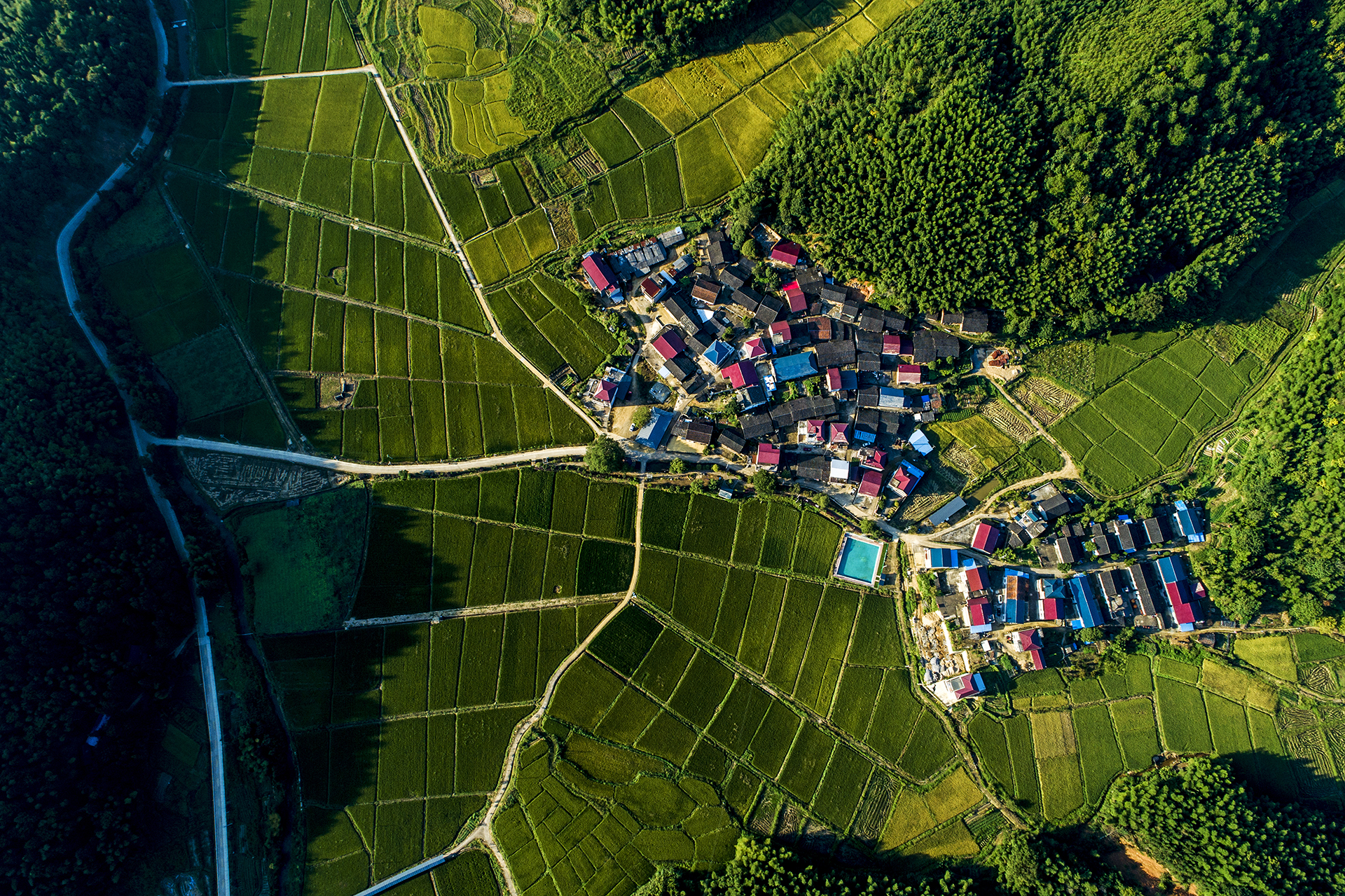 *党**报记者八闽调研行丨服务升级一“派”好景