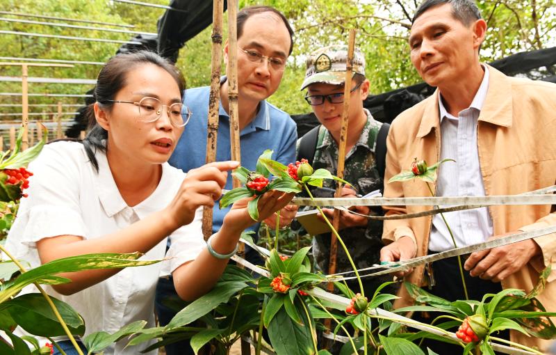 *党**报记者八闽调研行丨服务升级一“派”好景