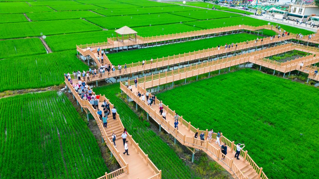 兴安日报｜全国地市百家媒体眼中，岭上兴安石榴花开正艳