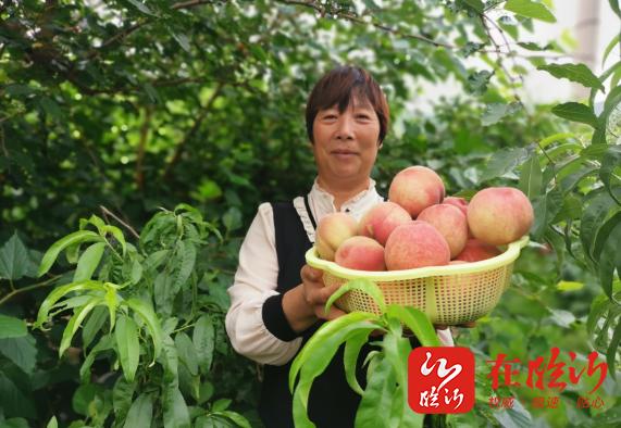 蹲点日记丨山里有支女子农技“特攻队”