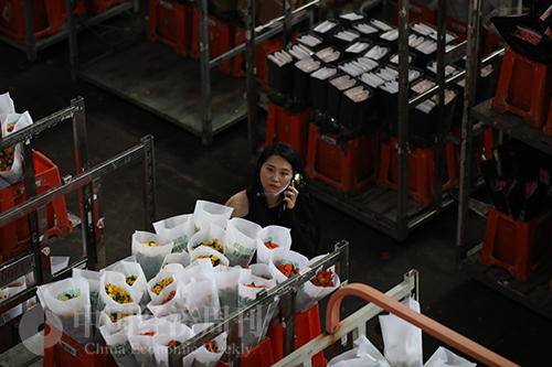 亚洲最大的鲜花交易市场是哪,阿斯米尔鲜花拍卖市场