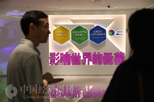 云南最大的鲜花拍卖市场,世界第一大鲜花拍卖市场