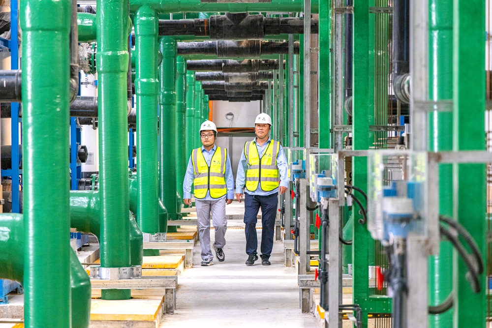 缁垮姩闈掑矝,缁垮姩榻愰瞾