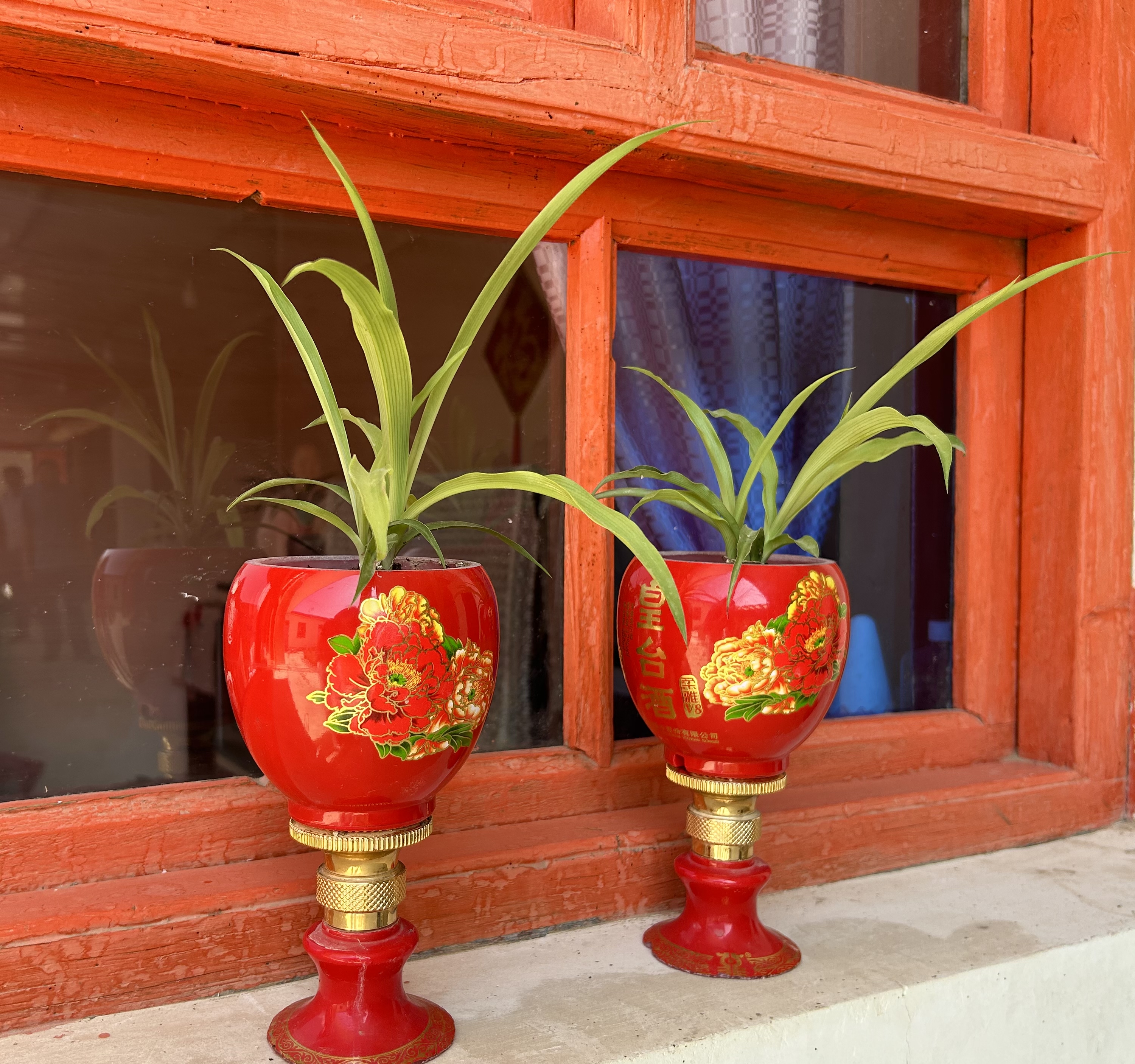 老李头的香水店,老李头普洱茶店