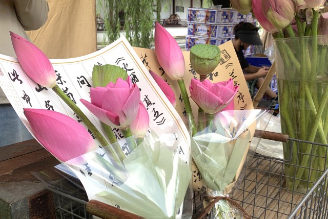 这个夏季，苏式文旅消费氛围拉满！