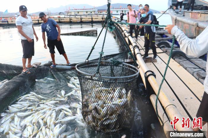 福建宁德2027年gdp目标,宁德gdp在福建排第几